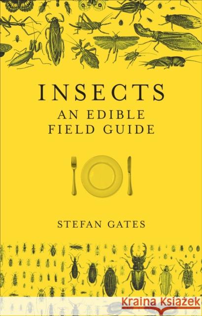Insects: An Edible Field Guide Gates, Stefan 9781785035258 Ebury Publishing - książka