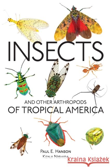 Insects and Other Arthropods of Tropical America Paul E. Hanson Kenji Nishida 9780801456947 Comstock Publishing - książka