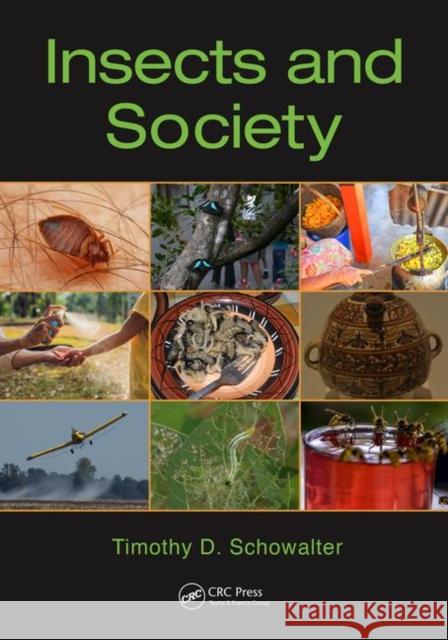 Insects and Society Timothy D. Schowalter 9780367347802 CRC Press - książka