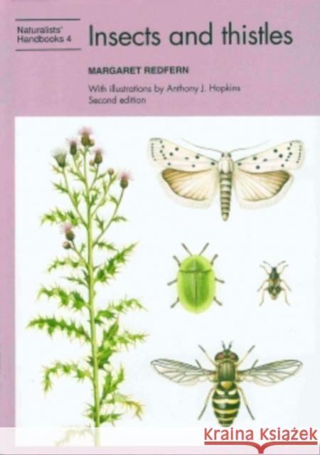 Insects and thistles Redfern, Margaret 9780855462970 Naturalists' Handbook - książka