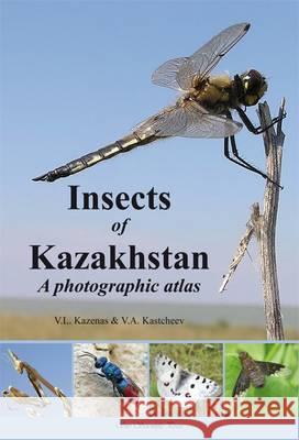 Insects of Kazakhstan V L Kazenas 9780956779557 BERTRAMS - książka