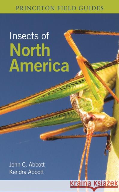 Insects of North America Kendra Abbott 9780691232850 Princeton University Press - książka