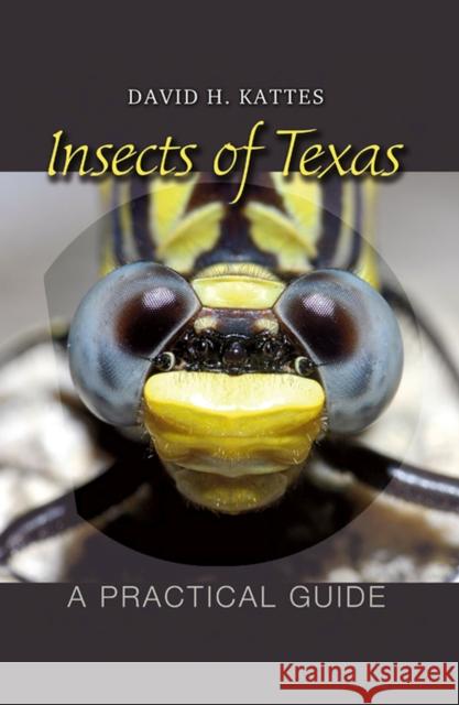 Insects of Texas: A Practical Guide Kattes, David H. 9781603440820 Texas A&M University Press - książka