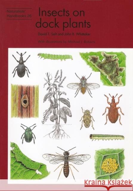 Insects on Dock Plants  9780855463090 Richmond Publishing Co Ltd - książka