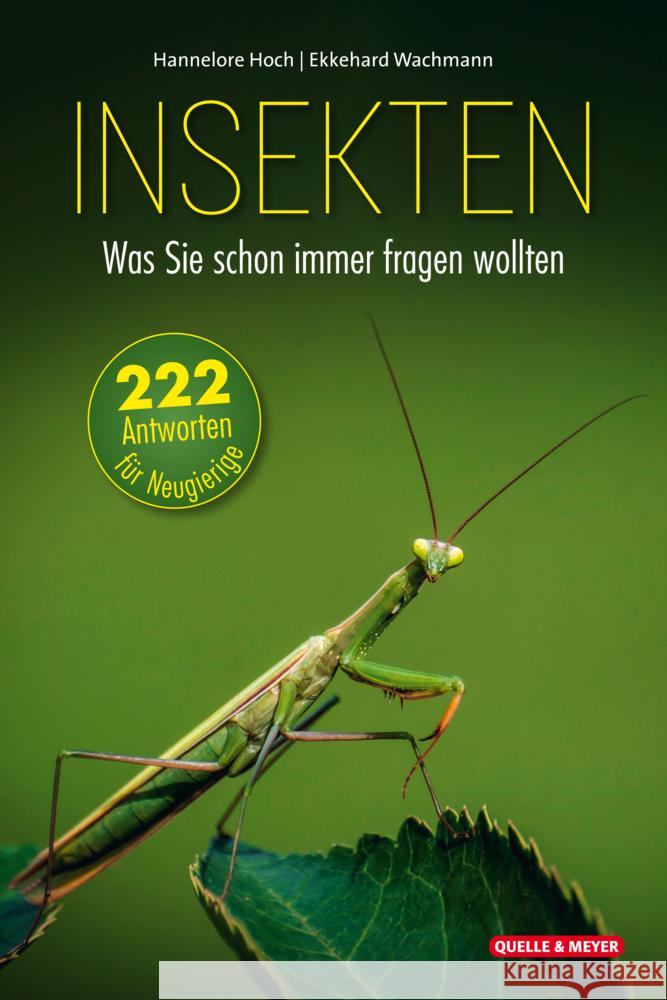 Insekten - Was Sie schon immer fragen wollten Hoch, Hannelore, Wachmann, Ekkehard 9783494018805 Quelle & Meyer - książka