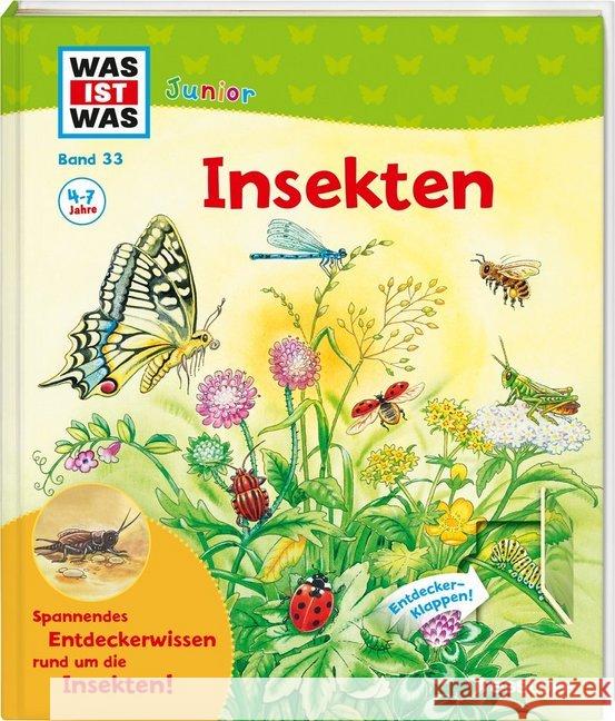 Insekten : Spannendes Entdeckerwissen rund um die Insekten! Oftring, Bärbel 9783788622251 Tessloff - książka