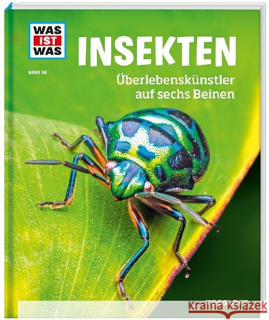 Insekten. Überlebenskünstler auf sechs Beinen Rigos, Alexandra 9783788621087 Tessloff - książka