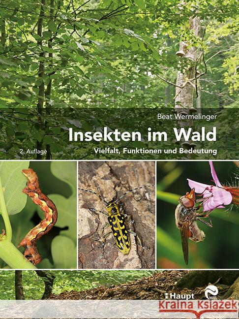 Insekten im Wald Wermelinger, Beat 9783258082172 Haupt - książka