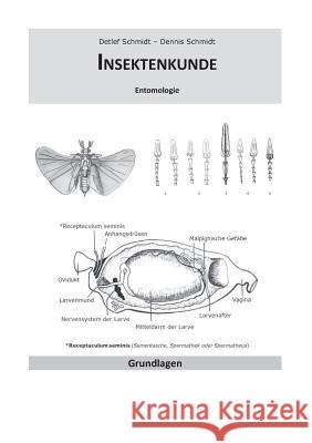 Insektenkunde: Entomologie Schmidt, Detlef 9783741289859 Books on Demand - książka