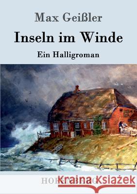 Inseln im Winde: Ein Halligroman Max Geißler 9783861998426 Hofenberg - książka