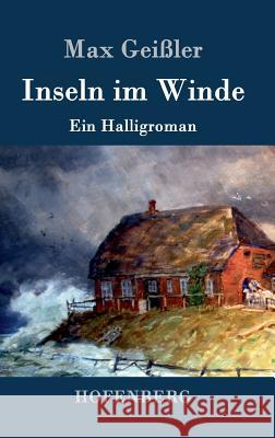 Inseln im Winde: Ein Halligroman Geißler, Max 9783861998433 Hofenberg - książka