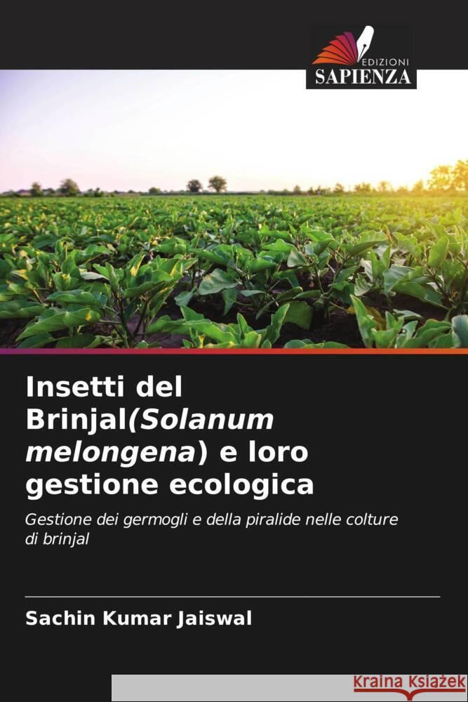 Insetti del Brinjal(Solanum melongena) e loro gestione ecologica Jaiswal, Sachin Kumar 9786206447603 Edizioni Sapienza - książka