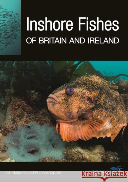Inshore Fishes of Britain and Ireland Frances Dipper 9780691249018 Princeton University Press - książka