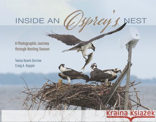 Inside an Osprey's Nest: A Photographic Journey Through Nesting Season Teena Ruar Craig Koppie 9780764352003 Schiffer Publishing - książka