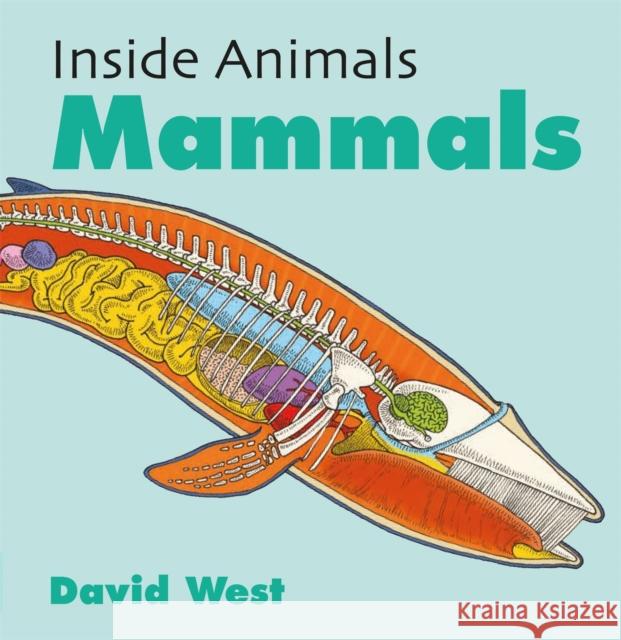 Inside Animals: Mammals David West 9781526310903 Hachette Children's Group - książka