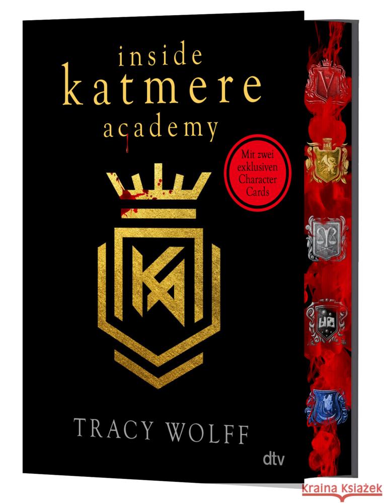 Inside Katmere Academy Wolff, Tracy 9783423765732 DTV - książka