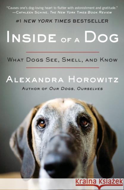 Inside of a Dog: What Dogs See, Smell, and Know Alexandra Horowitz 9781416583431 Scribner Book Company - książka