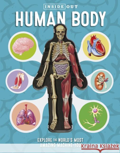 Inside Out Human Body: Explore the World's Most Amazing Machine-You! Luann Columbo 9780760355312 Quarto Publishing Group USA Inc - książka