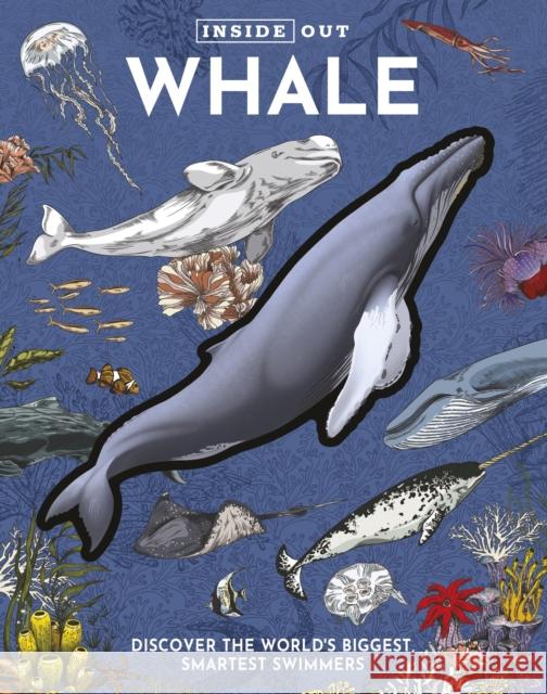 Inside Out Whale: Discover the World's Biggest, Smartest Swimmers Editors of Chartwell Books 9780785847649 Chartwell Books - książka