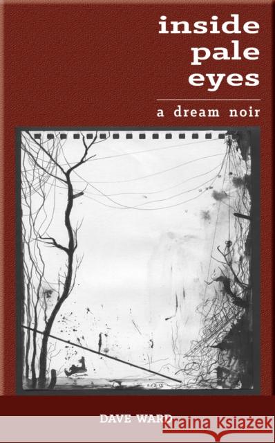 Inside Pale Eyes Dave Ward 9781908577856 Hawkwood Books - książka