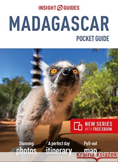 Insight Guides Pocket Madagascar (Travel Guide with Free eBook) Insight Travel Guide 9781789190472 APA Publications - książka