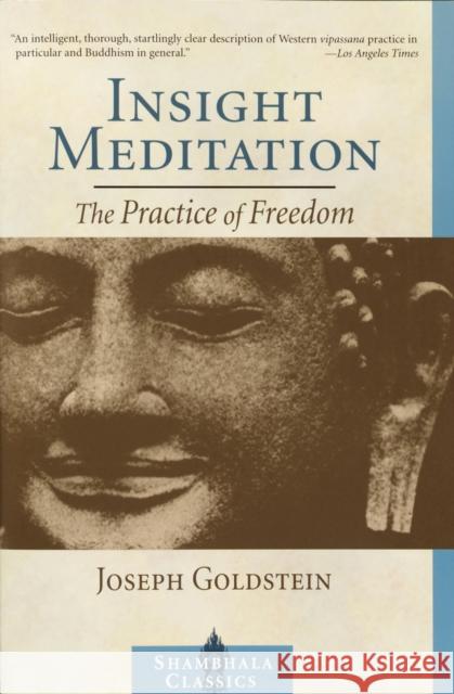 Insight Meditation Joseph Goldstein 9781590300169 Shambhala Publications Inc - książka