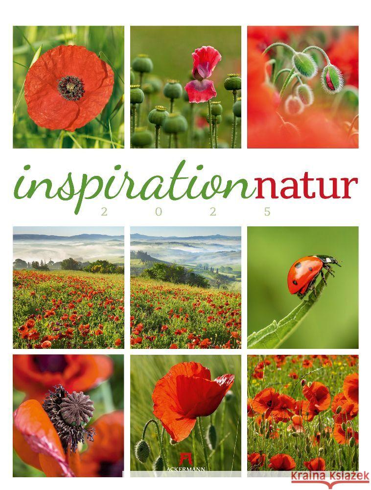 Inspiration Natur Kalender 2025 Ackermann Kunstverlag 9783838425856 Ackermann Kunstverlag - książka