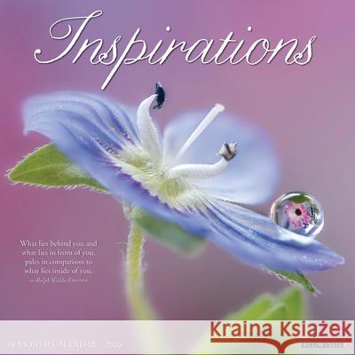 Inspirations 2026 Wall Calendar Willow Creek Press 9781549251566 Wlcp - książka