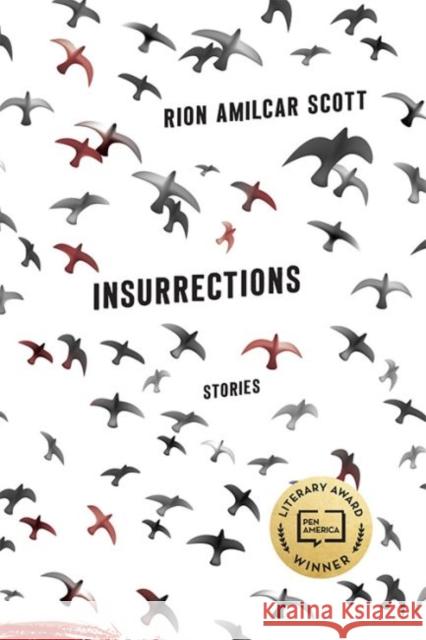 Insurrections: Stories Rion Amilcar Scott 9780813168180 University Press of Kentucky - książka