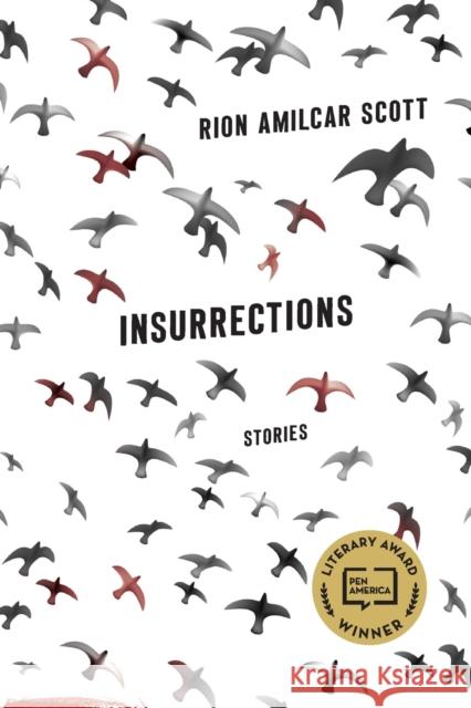 Insurrections: Stories Rion Amilcar Scott 9780813174402 University Press of Kentucky - książka