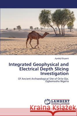 Integrated Geophysical and Electrical Depth Slicing Investigation Eluyemi Ayodeji 9783659688447 LAP Lambert Academic Publishing - książka