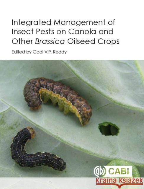 Integrated Management of Insect Pests on Canola and Other Brassica Oilseed Crops Gadi V. P. Reddy 9781780648200 Cabi - książka