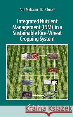 Integrated Nutrient Management (Inm) in a Sustainable Rice-Wheat Cropping System Mahajan, Anil 9781402098741 Springer - książka