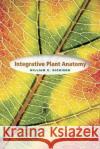 Integrative Plant Anatomy William C. Dickison 9780122151705 Academic Press