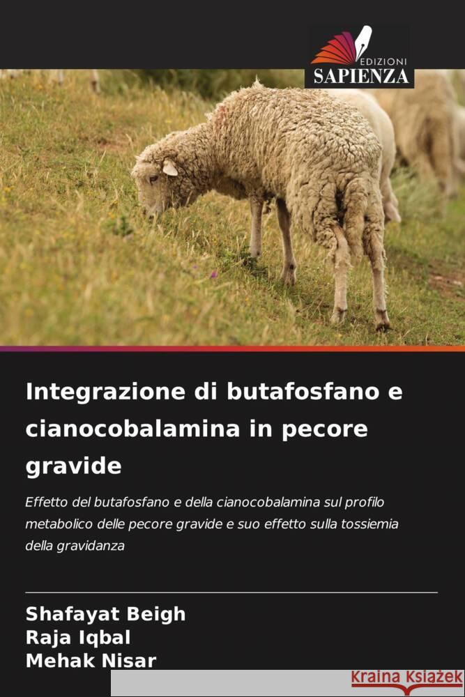 Integrazione di butafosfano e cianocobalamina in pecore gravide Shafayat Beigh Raja Iqbal Mehak Nisar 9786205059333 Edizioni Sapienza - książka