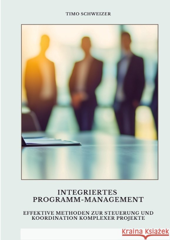Integriertes  Programm-Management Schweizer, Timo 9783384496713 tredition - książka