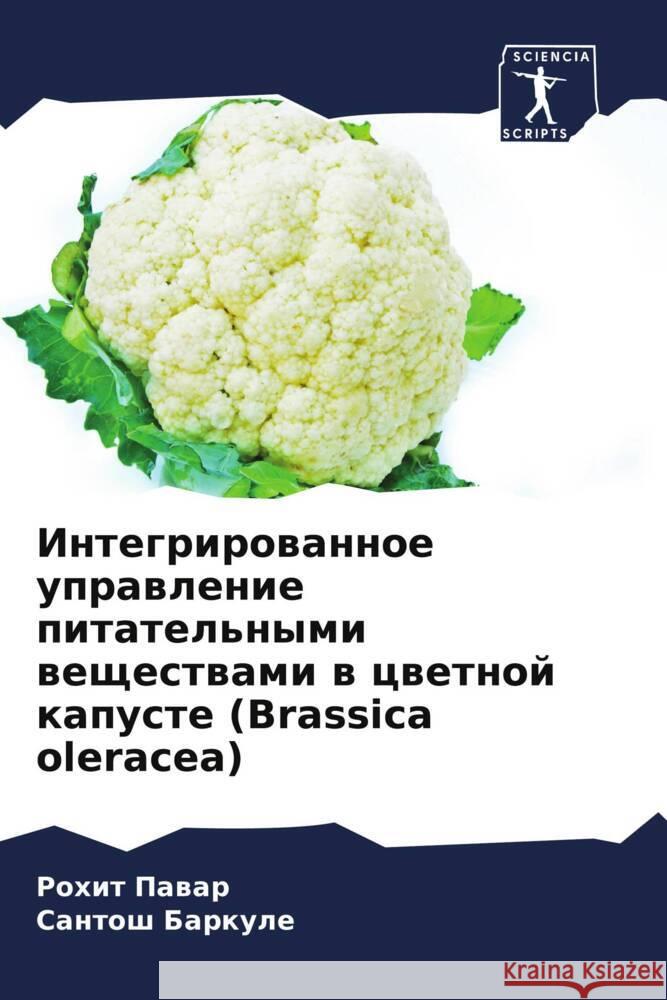 Integrirowannoe uprawlenie pitatel'nymi weschestwami w cwetnoj kapuste (Brassica oleracea) Pawar, Rohit, Barkule, Santosh 9786204569604 Sciencia Scripts - książka