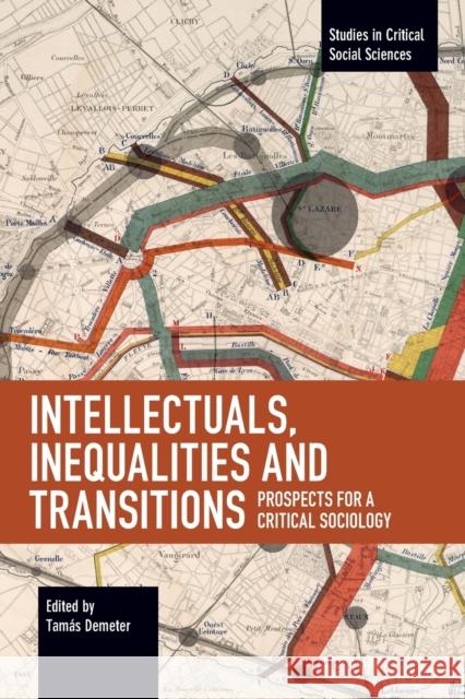 Intellectuals, Inequalities and Transitions: Prospects for a Critical Sociology  9781642593655 Haymarket Books - książka