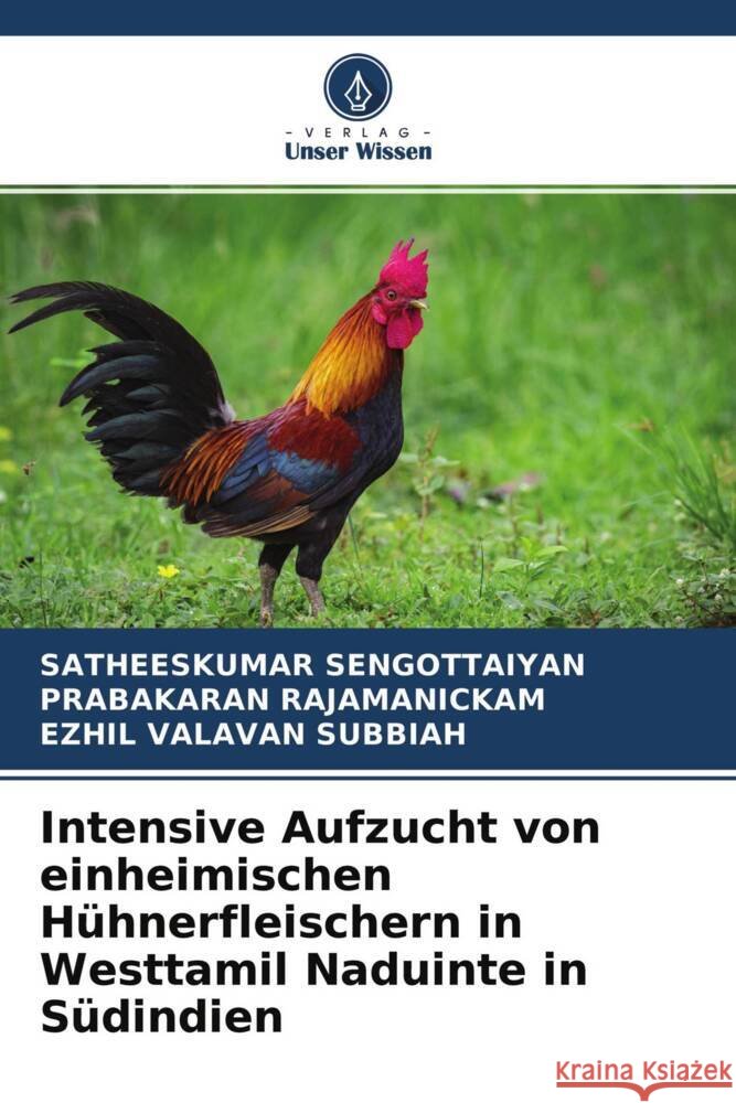 Intensive Aufzucht von einheimischen Hühnerfleischern in Westtamil Naduinte in Südindien Sengottaiyan, Satheeskumar, RAJAMANICKAM, PRABAKARAN, Subbiah, Ezhil Valavan 9786204023335 Verlag Unser Wissen - książka