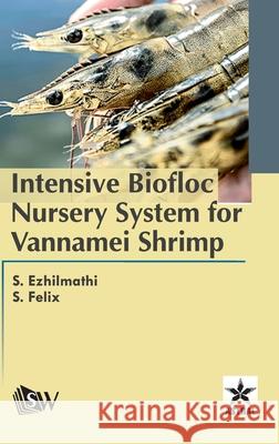 Intensive Biofloc Nursery System for Vannamei Shrimp S Ezhilmathi   9789354616273 Scholars World - książka