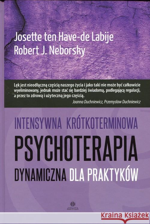 Intensywna krótkoterminowa psychoterapia dynamicz. ten Have-de Labije Josette Neborsky Robert J. 9788377441237 Harmonia - książka