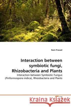 Interaction between symbiotic fungi, Rhizobacteria and Plants Prasad, Ram 9783639353112 VDM Verlag Dr. Müller - książka