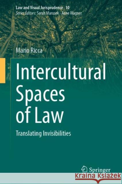 Intercultural Spaces of Law: Translating Invisibilities Mario Ricca 9783031274350 Springer - książka