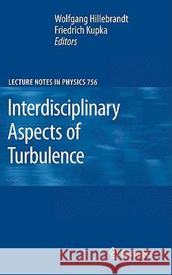 Interdisciplinary Aspects of Turbulence  9783540789604 SPRINGER-VERLAG BERLIN AND HEIDELBERG GMBH &  - książka