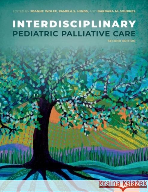 Interdisciplinary Pediatric Palliative Care Joanne Wolfe Pamela S. Hinds Barbara M. Sourkes 9780190090012 Oxford University Press, USA - książka