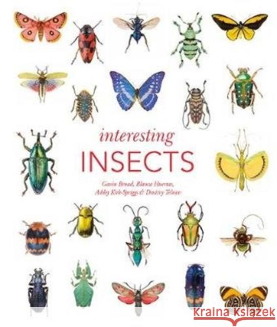 Interesting Insects Blanca Huertas 9780565095031 The Natural History Museum - książka