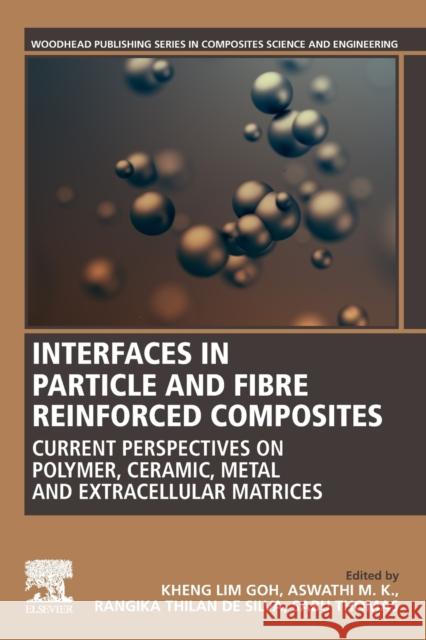 Interfaces in Particle and Fibre Reinforced Composites: Current Perspectives on Polymer, Ceramic, Metal and Extracellular Matrices Goh, Kheng-Lim 9780081026656 Woodhead Publishing - książka