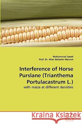 Interference of Horse Purslane (Trianthema Portulacastrum L.) Muhammad Saeed Prof D 9783639273083 VDM Verlag - książka