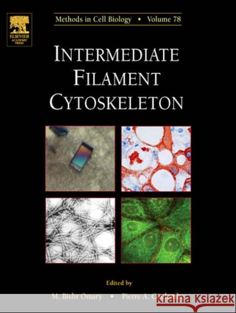 Intermediate Filament Cytoskeleton: Volume 78 Omary, M. Bishr 9780125641739 Academic Press - książka