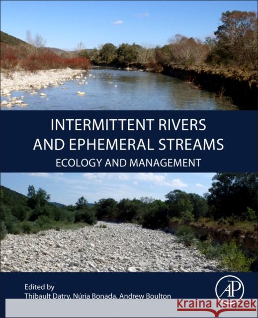 Intermittent Rivers and Ephemeral Streams: Ecology and Management Thibault Datry Nuria Bonada Andrew J. Boulton 9780128038352 Academic Press - książka